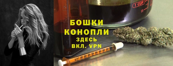 прущие крисы Магас