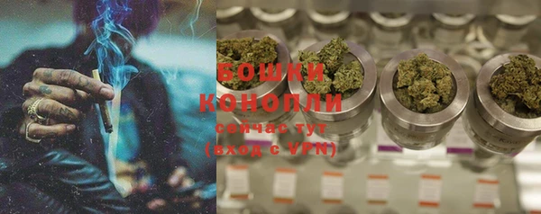 прущие крисы Магас