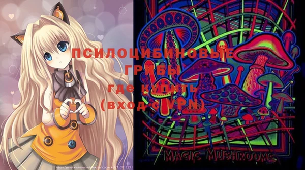 прущие крисы Магас