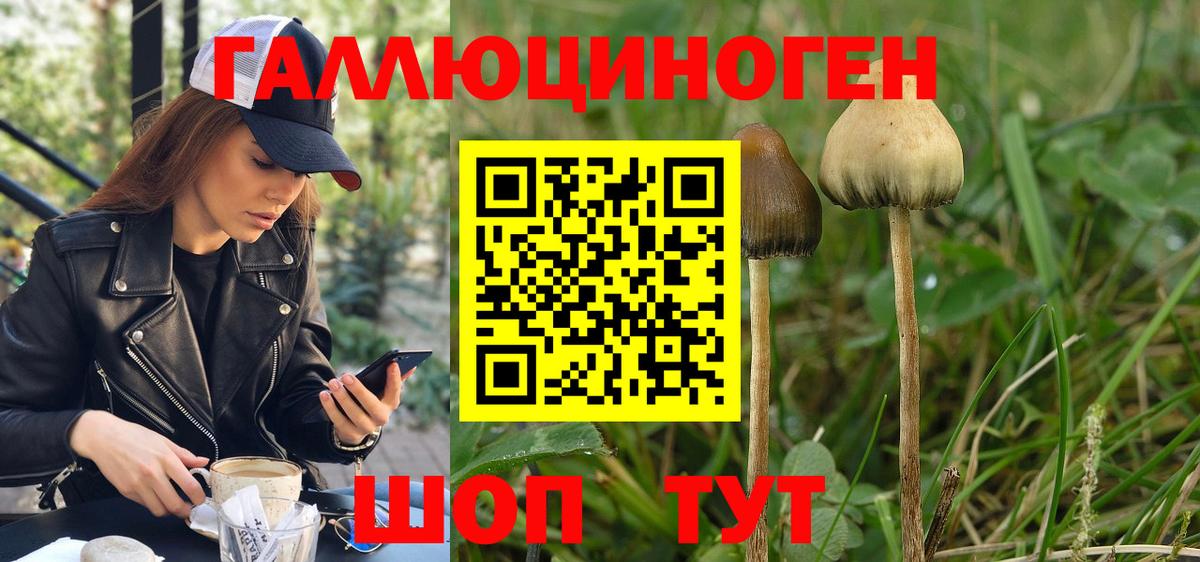 Галлюциногенные грибы GOLDEN TEACHER Смоленск