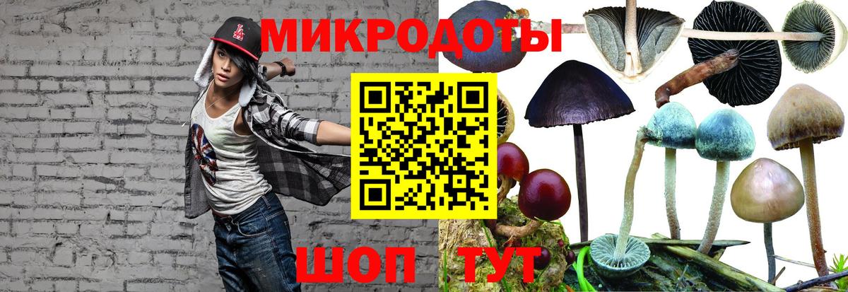 Галлюциногенные грибы Cubensis  цена   Псилоцибиновые грибы Psilocybe  Смоленск  Вход с VPN 